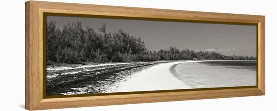 Winding Bay II BW Panel-Larry Malvin-Framed Premier Image Canvas