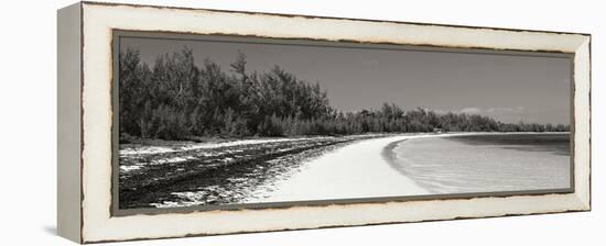 Winding Bay II BW Panel-Larry Malvin-Framed Premier Image Canvas