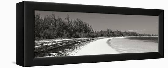 Winding Bay II BW Panel-Larry Malvin-Framed Premier Image Canvas
