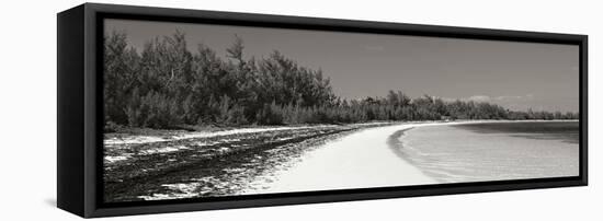 Winding Bay II BW Panel-Larry Malvin-Framed Premier Image Canvas