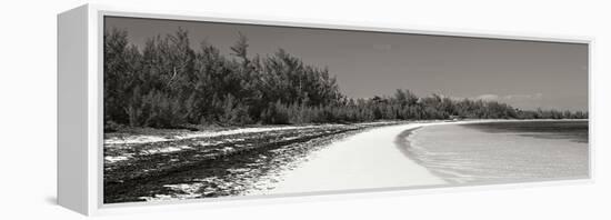 Winding Bay II BW Panel-Larry Malvin-Framed Premier Image Canvas