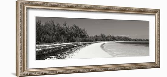 Winding Bay II BW Panel-Larry Malvin-Framed Photographic Print