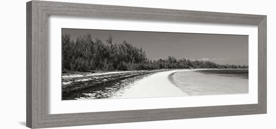 Winding Bay II BW Panel-Larry Malvin-Framed Photographic Print