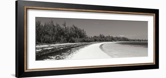 Winding Bay II BW Panel-Larry Malvin-Framed Photographic Print