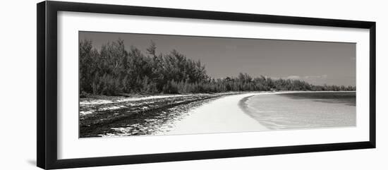 Winding Bay II BW Panel-Larry Malvin-Framed Photographic Print