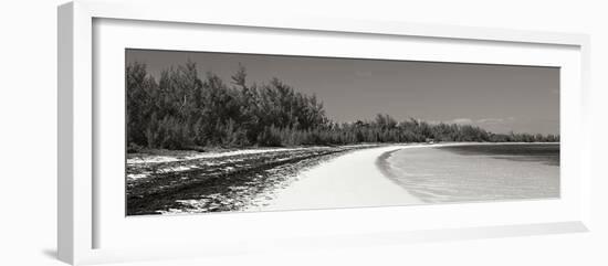 Winding Bay II BW Panel-Larry Malvin-Framed Photographic Print