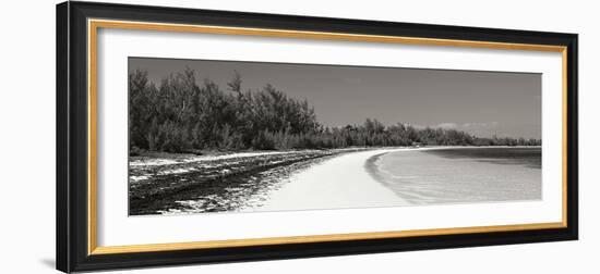 Winding Bay II BW Panel-Larry Malvin-Framed Photographic Print