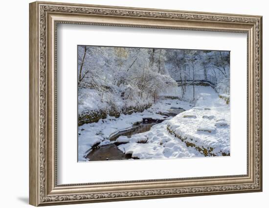Winding Minnehaha Creek, Winter-Steven Gaertner-Framed Photographic Print