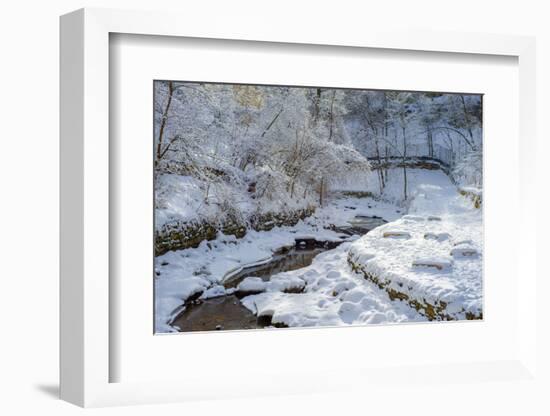 Winding Minnehaha Creek, Winter-Steven Gaertner-Framed Photographic Print