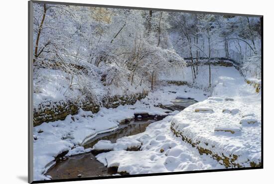 Winding Minnehaha Creek, Winter-Steven Gaertner-Mounted Photographic Print