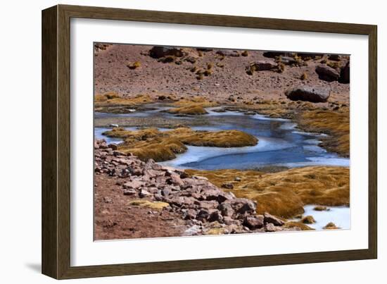 Winding Partially Frozen Water Near the Saciel Sulfur Refinery, Chile-Mallorie Ostrowitz-Framed Photographic Print