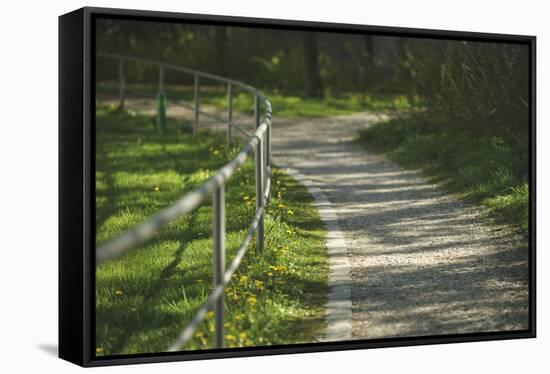 winding path-Benjamin Engler-Framed Stretched Canvas