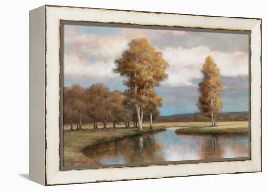 Winding River I-T.C. Chiu-Framed Stretched Canvas