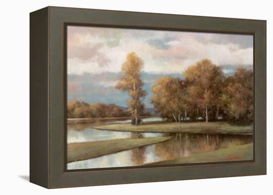 Winding River II-T.C. Chiu-Framed Stretched Canvas