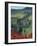 Winding Road and Poppies, Montichiello, Tuscany, Italy, Europe-Angelo Cavalli-Framed Photographic Print