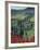 Winding Road and Poppies, Montichiello, Tuscany, Italy, Europe-Angelo Cavalli-Framed Photographic Print