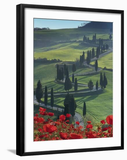 Winding Road and Poppies, Montichiello, Tuscany, Italy, Europe-Angelo Cavalli-Framed Photographic Print