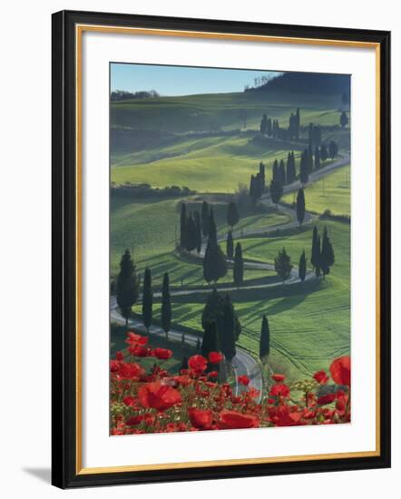 Winding Road and Poppies, Montichiello, Tuscany, Italy, Europe-Angelo Cavalli-Framed Photographic Print