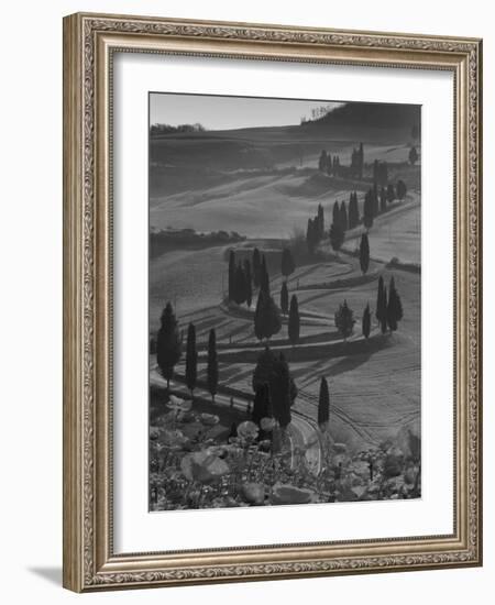 Winding Road and Poppies, Montichiello, Tuscany, Italy, Europe-Angelo Cavalli-Framed Photographic Print