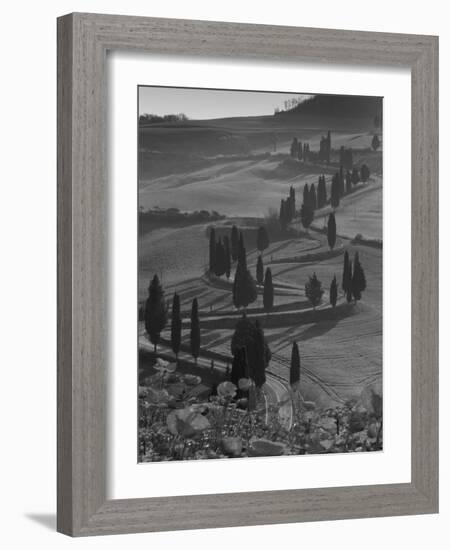 Winding Road and Poppies, Montichiello, Tuscany, Italy, Europe-Angelo Cavalli-Framed Photographic Print