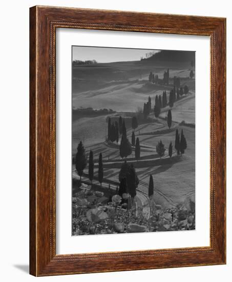 Winding Road and Poppies, Montichiello, Tuscany, Italy, Europe-Angelo Cavalli-Framed Photographic Print