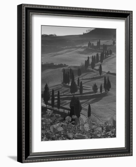 Winding Road and Poppies, Montichiello, Tuscany, Italy, Europe-Angelo Cavalli-Framed Photographic Print
