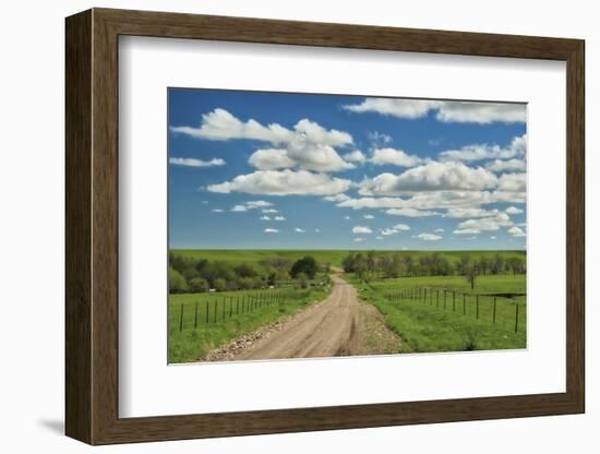 Winding road in Kansas Flint Hills-Michael Scheufler-Framed Photographic Print