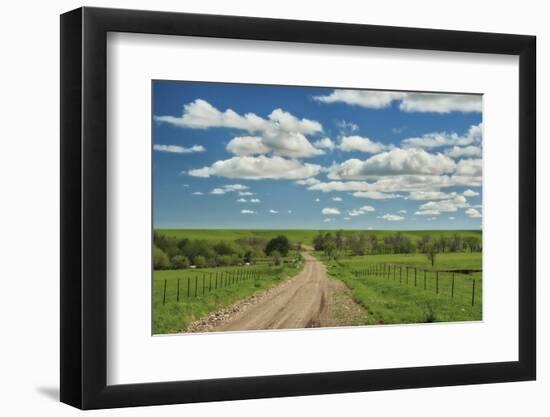 Winding road in Kansas Flint Hills-Michael Scheufler-Framed Photographic Print