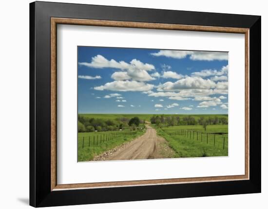 Winding road in Kansas Flint Hills-Michael Scheufler-Framed Photographic Print