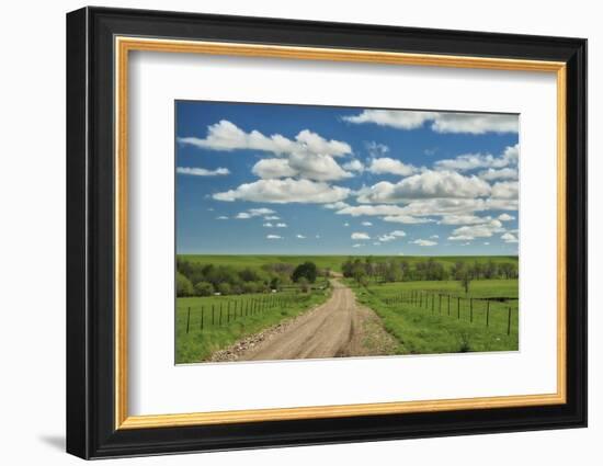 Winding road in Kansas Flint Hills-Michael Scheufler-Framed Photographic Print