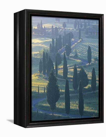 Winding Road, Monticchiello, Tuscany, Italy-Doug Pearson-Framed Premier Image Canvas