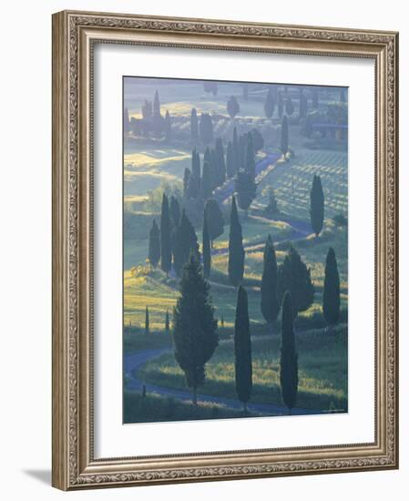 Winding Road, Monticchiello, Tuscany, Italy-Doug Pearson-Framed Photographic Print