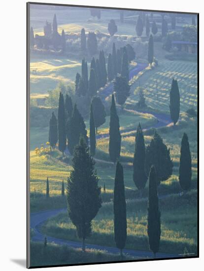 Winding Road, Monticchiello, Tuscany, Italy-Doug Pearson-Mounted Photographic Print