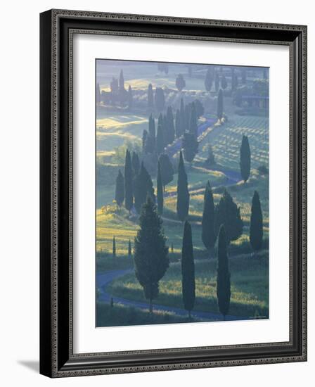 Winding Road, Monticchiello, Tuscany, Italy-Doug Pearson-Framed Photographic Print