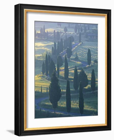 Winding Road, Monticchiello, Tuscany, Italy-Doug Pearson-Framed Photographic Print