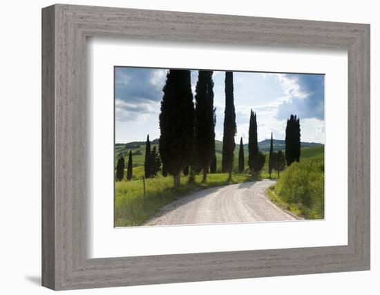 Winding Road, Near Pienza, Tuscany, Italy-Peter Adams-Framed Photographic Print