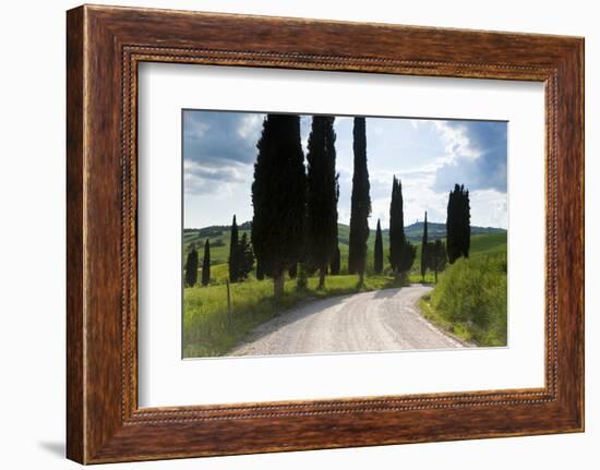 Winding Road, Near Pienza, Tuscany, Italy-Peter Adams-Framed Photographic Print