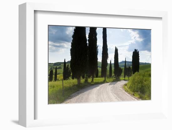 Winding Road, Near Pienza, Tuscany, Italy-Peter Adams-Framed Photographic Print