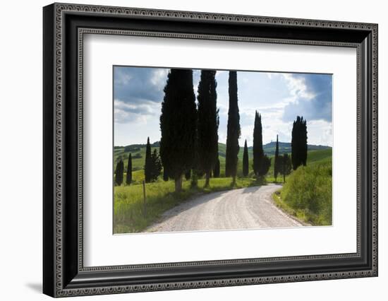 Winding Road, Near Pienza, Tuscany, Italy-Peter Adams-Framed Photographic Print