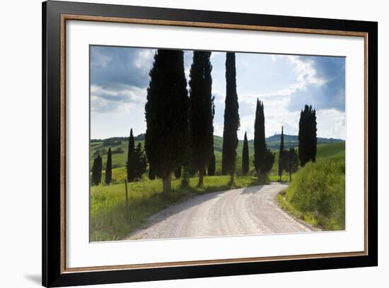 Winding Road, Near Pienza, Tuscany, Italy-Peter Adams-Framed Photographic Print
