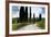 Winding Road, Near Pienza, Tuscany, Italy-Peter Adams-Framed Photographic Print