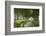 Winding Tree Lined Country Lane, Dorset, England. Summer (July)-Adam Burton-Framed Photographic Print