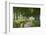 Winding Tree Lined Country Lane, Dorset, England. Summer (July)-Adam Burton-Framed Photographic Print