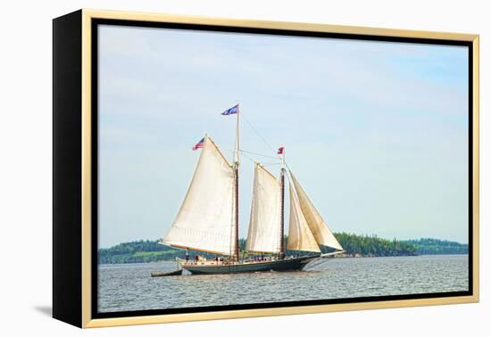 Windjammer Schooner called the Stephen Taber, Rockland, Maine, USA-Bill Bachmann-Framed Premier Image Canvas