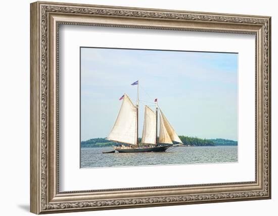 Windjammer Schooner called the Stephen Taber, Rockland, Maine, USA-Bill Bachmann-Framed Photographic Print