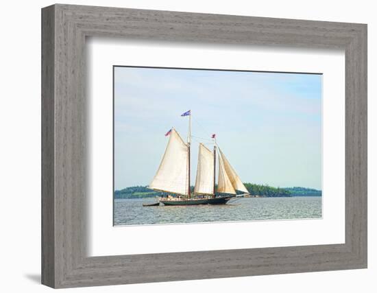 Windjammer Schooner called the Stephen Taber, Rockland, Maine, USA-Bill Bachmann-Framed Photographic Print