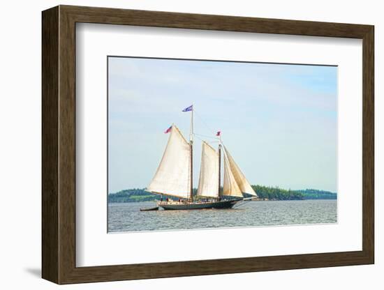 Windjammer Schooner called the Stephen Taber, Rockland, Maine, USA-Bill Bachmann-Framed Photographic Print