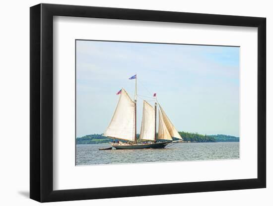 Windjammer Schooner called the Stephen Taber, Rockland, Maine, USA-Bill Bachmann-Framed Photographic Print