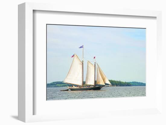 Windjammer Schooner called the Stephen Taber, Rockland, Maine, USA-Bill Bachmann-Framed Photographic Print