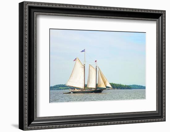 Windjammer Schooner called the Stephen Taber, Rockland, Maine, USA-Bill Bachmann-Framed Photographic Print